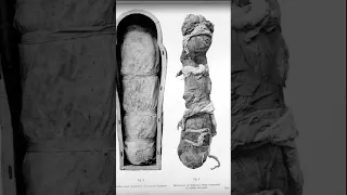 The Coffinette Mummy of Prince Sipaari - Ancient Egyptian Archeology