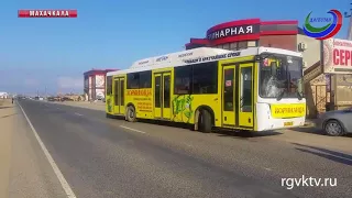 Сегодня в пос. Красноармейск водитель автобуса насмерть сбил пешехода