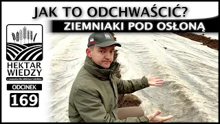 NIEZALEŻNOŚĆ TO NAJWIĘKSZA SIŁA | ZIEMNIAKI POD OSŁONĄ. JAK TO ODCHWAŚCIĆ? | ODCINEK 169