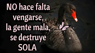 🦋NO hace falta vengarse la gente mala se destruye sola