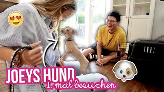 MEINE ERSTE REAKTION ZU POPPY 🥺🐶 (so klein omg)