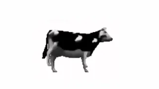 Polish cow Meme 2024|Polska krowa 🇵🇱🐄