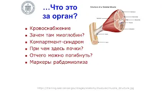 Злокачественная гипертермия и острый массивный рабдомиолиз