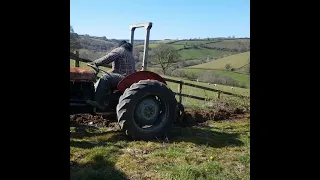 Ferguson TEF20 and single furrow plough doing the veg garden