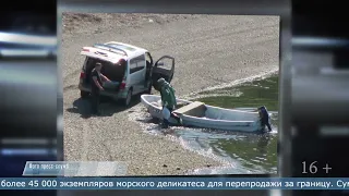 13.01.2023 Шестеро сахалинцев предстанут перед судом за незаконную добычу трепанга