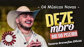 BIU DO PISEIRO - 04 MÚSICAS NOVAS - DEZEMBRO 2023