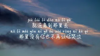 【流离-周星星】LIU LI- ZHOU XING XING (ZEALOT) /TIKTOK,抖音,틱톡/Pinyin Lyrics, 拼音歌词, 병음가사/No AD, 无广告, 광고없음