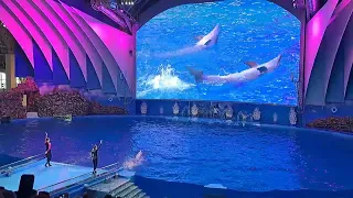 RUSSIAN OCEANARIUM SHOW