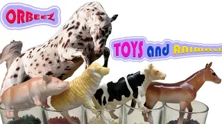 Cartoon How Orbeez Grows Funny Animal Farms and Toys for Kids Animal Names COLORS in English Part 2