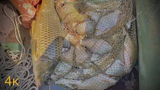 ,,  Яйца  "  рулят на реке ! Рыбалка на Ахтубе 2021.