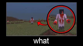 Minecraft wait what meme part 241 (scary Ghost)