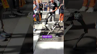 🤖 New Boston Dynamics Robot-Dogs at the IFA Berlin 🤖