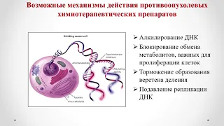 Фармакология 4. Противоопухолевые средства