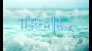Tōrea - Te Kākano - With Lyrics