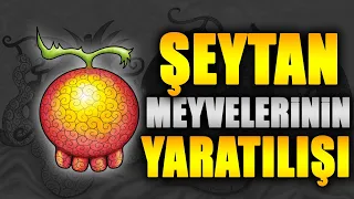 Şeytan Meyvelerinin Yaratılışı | One Piece Teori