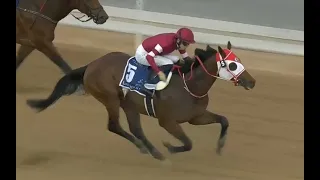 Forever Young Wins the UAE Derby - Derby Prep -  Meydan Racecourse - 3/30/24