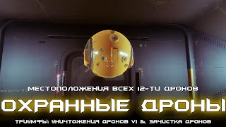 Операция: щит Серафима - все 12 Охранных Дронов - полное руководство. [Destiny 2]