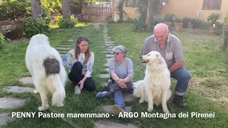 Risultato Esperienza Famiglia con 2 cani Argo e Penny