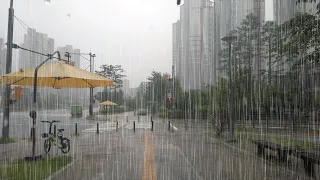 (4K) Walking in Heavy Rain | Rain Sounds for Meditation | Peaceful & Restful | S. Korea | 폭우 빗소리 명상