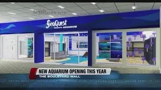 Renderings of new aquarium