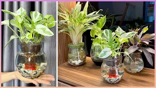 It's great to turn an old plastic bottle into a lovely potted plant to dispel stress and fatigue