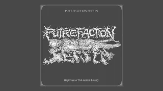 PUTREFACTION SETS IN - Dispersion of Post-mortem Lividity - (OFFICIAL SINGLE 2021)