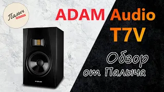 Студийный монитор ADAM Audio T7V || Обзор от Палыча