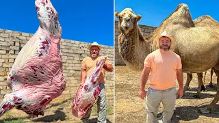 Cutting A Whole 700kg Camel! The Biggest Dish in the World