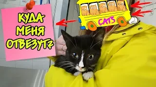 СПАСЁННЫЙ КОТЁНОК ПРОЩАЕТСЯ С ПРИЮТОМ!