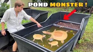 I FOUND A POND FILLED WITH RARE CREATURES !