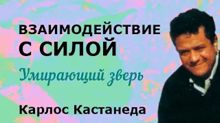 Взаимодействие с силой © Карлос Кастанеда