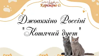 Дж.Россіні. "Котячий дует" (Cat Duet by Rossini  Rossini: Duetto buffo di due Gatti)