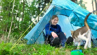 Hiking & wild camping with my cat | Simonswald, July 2022