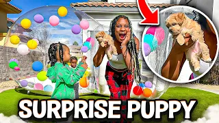 I SURPRISED MY KIDS WITH AN ADORABLE LITTLE PUPPY!