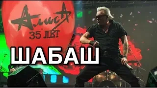 АЛИСА 35 лет. ШАБАШ. Multicam.