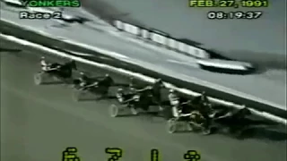 1991 Yonkers Raceway TWILIGHT GLEAMER