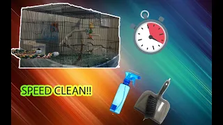 CLEANING MY DIAMOND DOVES CAGE! (Time-Lapse) Speed Cleaning!