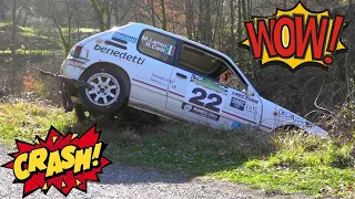 Rallye Crash Compilation 2023 World #17 - RallyeFix