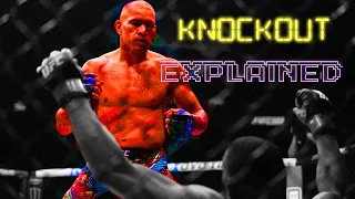 How Alex Pereira Knocked Out Jamahal Hill || Pereira vs Hill Breakdown