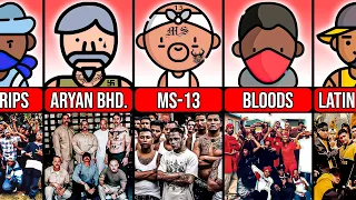 Most Dangerous Gangs in USA