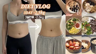 SUB)Diet | 3일만에 -2.5kg🔥 급찐급빠 단기간 다이어트 브이로그 [식단,운동] -3kg in 3 days