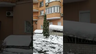 snow start in ukraine 2022 ⛈️☃️⛄