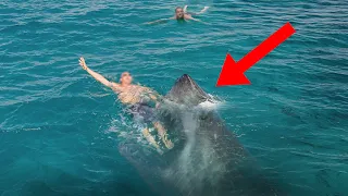 10 Times Swimming Went Terribly Wrong!