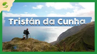 Cómo viven en La ISLA más REMOTA del MUNDO?? (Tristan da Cunha) 😵🏝️ - [Persiguiendo Historias]