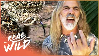 Man Loses A Finger From Venomous Snake Bite | Savage Wild | Real Wild