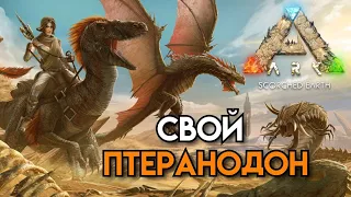 ARK : Survival Evolved 》Хитиновая броня и Птеранодон