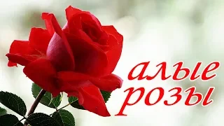 Алые розы  подарок 8 марта песня для женщин