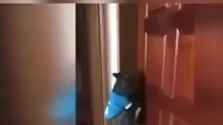 Открой дверь