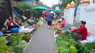 Luang Prabang Morning Market, Laos