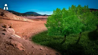 Wie Spanien seine Wüsten in Wälder verwandelt